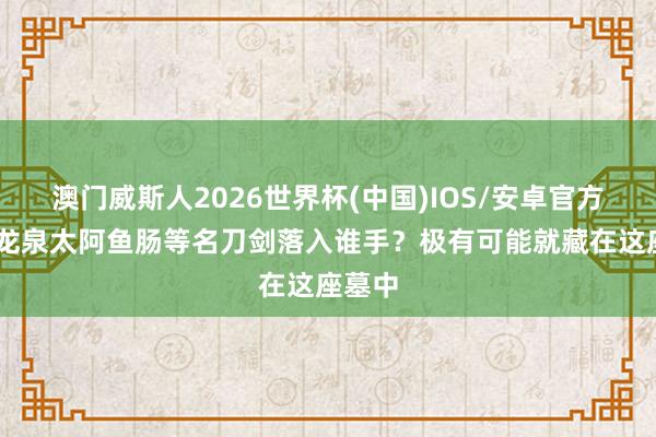 澳门威斯人2026世界杯(中国)IOS/安卓官方下载 龙泉太阿鱼肠等名刀剑落入谁手？极有可能就藏在这座墓中