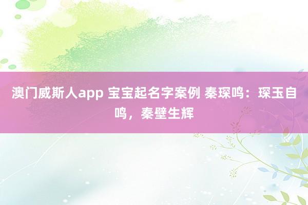 澳门威斯人app 宝宝起名字案例 秦琛鸣：琛玉自鸣，秦壁生辉