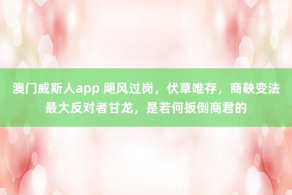 澳门威斯人app 飓风过岗,伏草唯存,商鞅变法最大反对者甘龙,是若何扳倒商君的