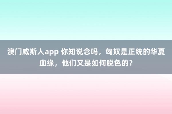 澳门威斯人app 你知说念吗，匈奴是正统的华夏血缘，他们又是如何脱色的？