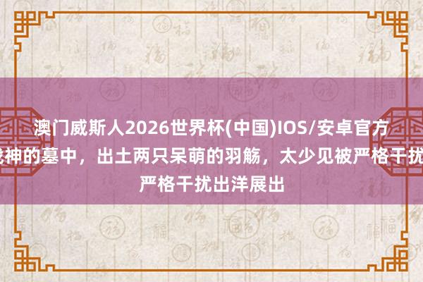 澳门威斯人2026世界杯(中国)IOS/安卓官方下载 女战神的墓中，出土两只呆萌的羽觞，太少见被严格干扰出洋展出