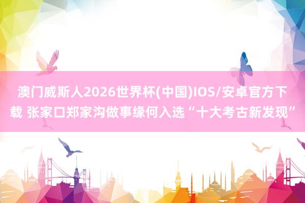 澳门威斯人2026世界杯(中国)IOS/安卓官方下载 张家口郑家沟做事缘何入选“十大考古新发现”