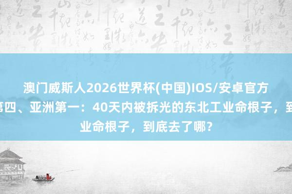澳门威斯人2026世界杯(中国)IOS/安卓官方下载 世界第四、亚洲第一:40天内被拆光的东北工业命根子,到底去了哪?