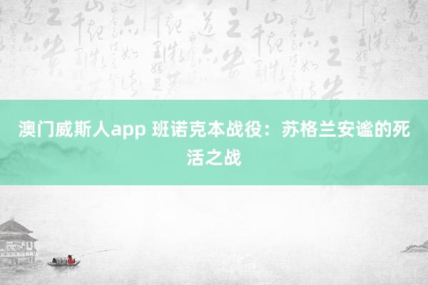 澳门威斯人app 班诺克本战役：苏格兰安谧的死活之战