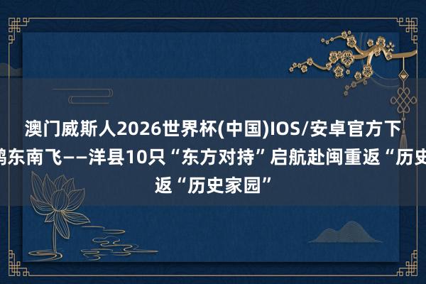 澳门威斯人2026世界杯(中国)IOS/安卓官方下载 朱鹮东南飞——洋县10只“东方对持”启航赴闽重返“历史家园”