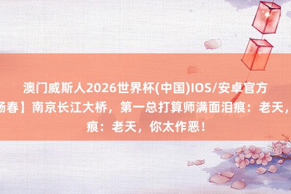 澳门威斯人2026世界杯(中国)IOS/安卓官方下载 【梅旸春】南京长江大桥，第一总打算师满面泪痕：老天，你太作恶！