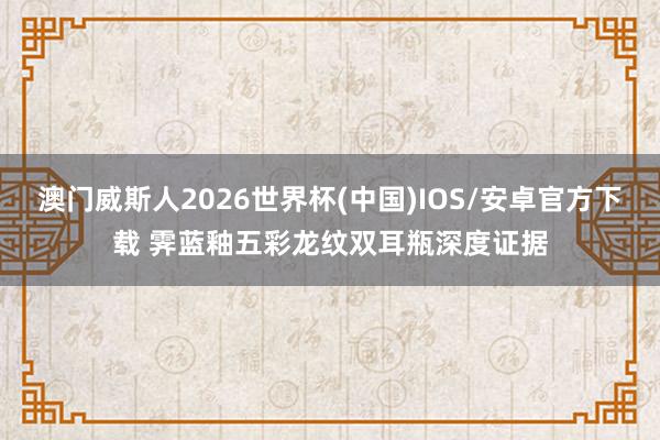 澳门威斯人2026世界杯(中国)IOS/安卓官方下载 霁蓝釉五彩龙纹双耳瓶深度证据