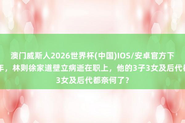 澳门威斯人2026世界杯(中国)IOS/安卓官方下载 1850年,林则徐家道壁立病逝在职上,他的3子3女及后代都奈何了?
