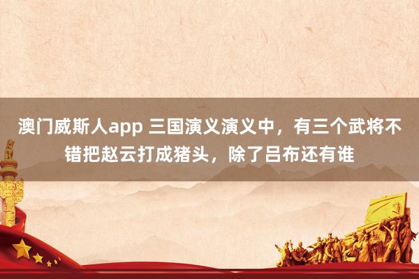 澳门威斯人app 三国演义演义中，有三个武将不错把赵云打成猪头，除了吕布还有谁