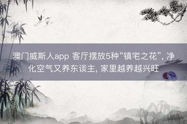 澳门威斯人app 客厅摆放5种“镇宅之花”， 净化空气又养东谈主， 家里越养越兴旺