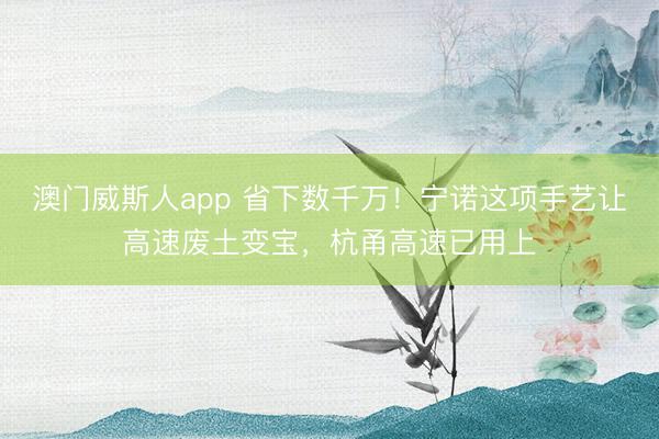 澳门威斯人app 省下数千万！宁诺这项手艺让高速废土变宝，杭甬高速已用上