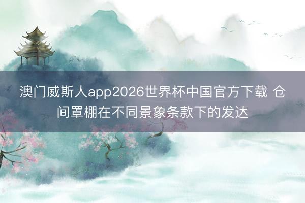 澳门威斯人app2026世界杯中国官方下载 仓间罩棚在不同景象条款下的发达