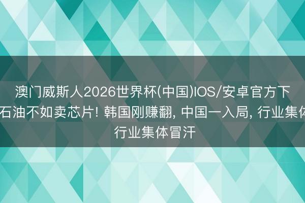 澳门威斯人2026世界杯(中国)IOS/安卓官方下载 卖石油不如卖芯片! 韩国刚赚翻， 中国一入局， 行业集体冒汗