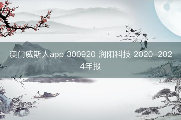澳门威斯人app 300920 润阳科技 2020-2024年报