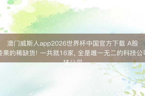澳门威斯人app2026世界杯中国官方下载 A股委果的稀缺货! 一共就16家， 全是唯一无二的科技公司