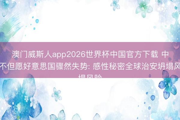 澳门威斯人app2026世界杯中国官方下载 中国不但愿好意思国骤然失势: 感性秘密全球治安坍塌风险