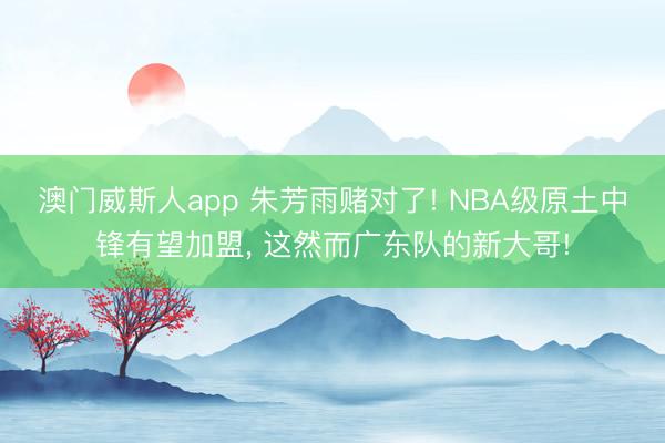 澳门威斯人app 朱芳雨赌对了! NBA级原土中锋有望加盟, 这然而广东队的新大哥!