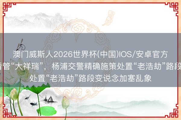 澳门威斯人2026世界杯(中国)IOS/安卓官方下载 “小举措”看管“大祥瑞”，杨浦交警精确施策处置“老浩劫”路段变说念加塞乱象