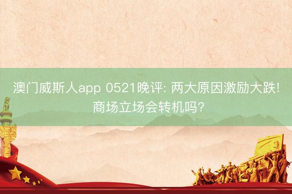 澳门威斯人app 0521晚评: 两大原因激励大跌! 商场立场会转机吗?