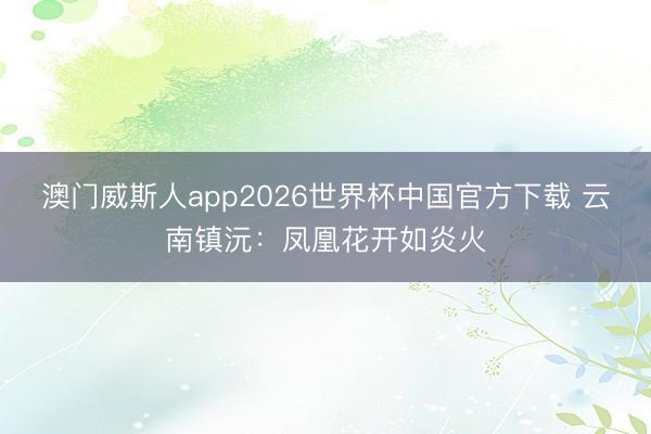 澳门威斯人app2026世界杯中国官方下载 云南镇沅：凤凰花开如炎火
