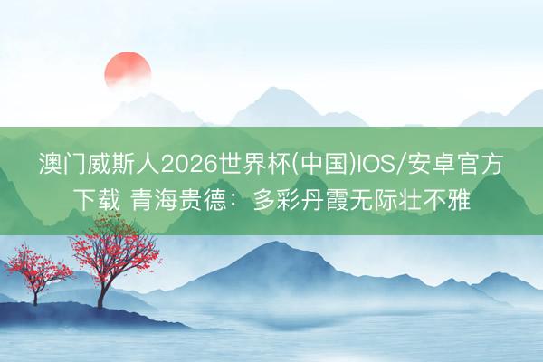 澳门威斯人2026世界杯(中国)IOS/安卓官方下载 青海贵德：多彩丹霞无际壮不雅