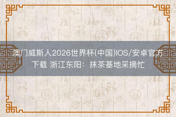 澳门威斯人2026世界杯(中国)IOS/安卓官方下载 浙江东阳：抹茶基地采摘忙