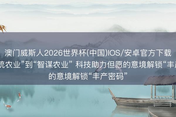 澳门威斯人2026世界杯(中国)IOS/安卓官方下载 从“传统农业”到“智谋农业” 科技助力但愿的意境解锁“丰产密码”