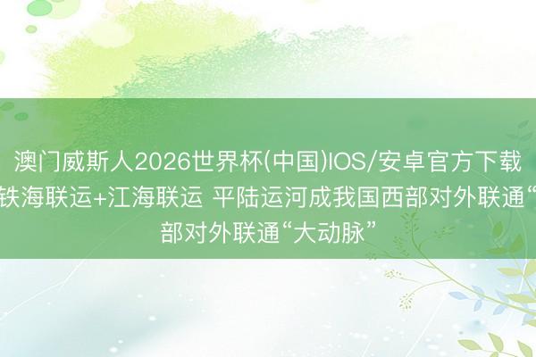 澳门威斯人2026世界杯(中国)IOS/安卓官方下载 视频丨铁海联运+江海联运 平陆运河成我国西部对外联通“大动脉”