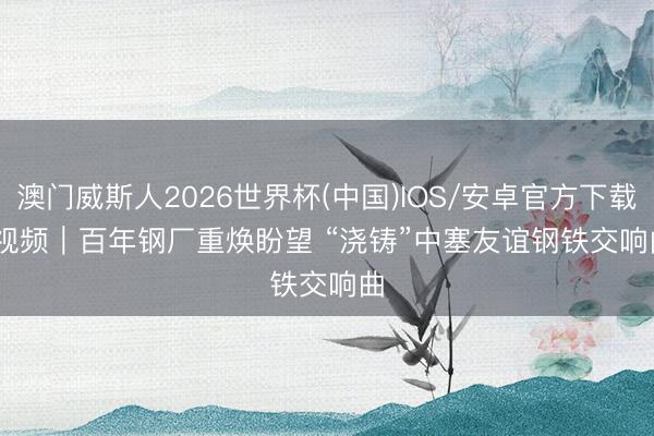澳门威斯人2026世界杯(中国)IOS/安卓官方下载 视频|百年钢厂重焕盼望 “浇铸”中塞友谊钢铁交响曲