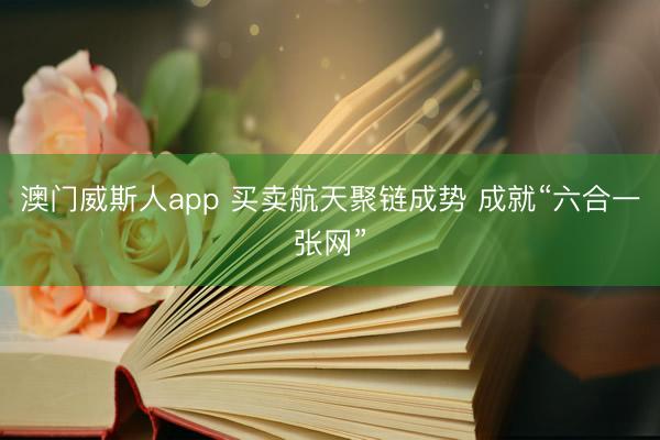 澳门威斯人app 买卖航天聚链成势 成就“六合一张网”